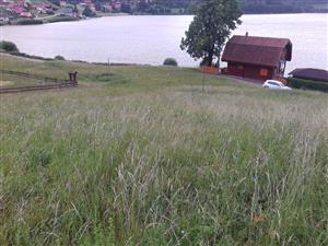 Západná časť TML, ktorá je prepásaná ovcami pomocou oplôtkov