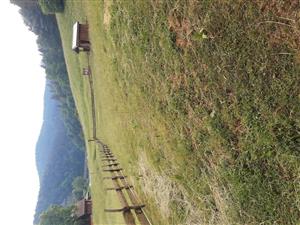 Pohľad na severnú časť TML_6510_364