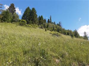 Východný pohľad na TML_6510_856