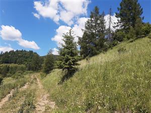 Pohľad na TML z cesty