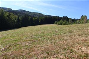 pohľad na biotop zo severu