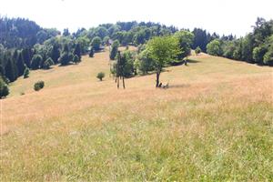 TML_6510_679_20220806_pohľad na lokalitu