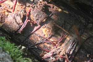  (3.9.2014)
