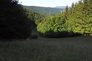 celkový pohľad na TML