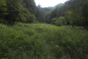 Pohľad na lokalitu z dolného okraja.