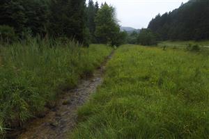 Pohľad na TML, ako predch. mapovanie.