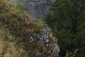 pohľad na lokalitu z diaľky, vegetácia Pi5 osídluje vypuklé skalné hrebienky.