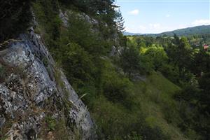 celkový pohľad na TML