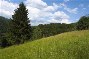 pohľad na TML, spodná časť