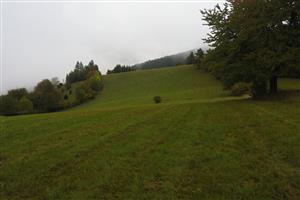 Pohľad na hornú časť TML