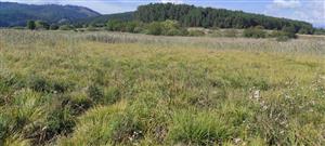 Celkový pohľad na TML_7230_316