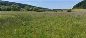 Celkový pohľad na TML_7230_141