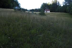 pohľad na TML zospodu