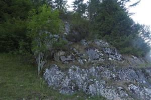 celkový pohľad na TML