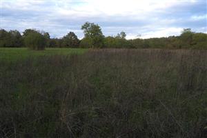 nepokosená časť TML