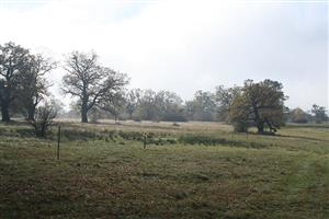 Fotografia zachytáva TML.