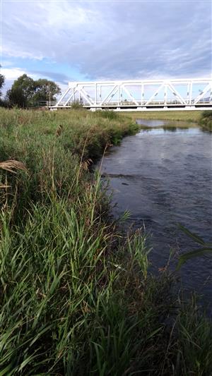 Brehové partie rieky Poprad bez cieľového biotopu.