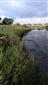 Rieky s bahnitými až piesočnatými brehmi s vegetáciou zväzov Chenopodionrubri p.p. a Bidentition p.p. (5.9.2022)