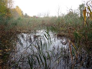 TML, interiér kanála