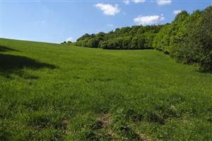 pohľad na TML zo spodnej (východnejňčasti