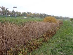 TML, interiér plytkého kanála