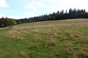 pohľad na južnú časť lokality