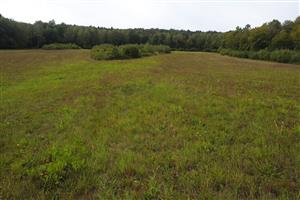 pohľad na biotop, severná časť