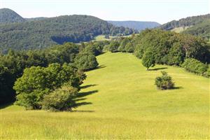 pohľad na severnú časť lokality