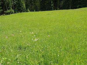 Celkový pohľad na lokalitu