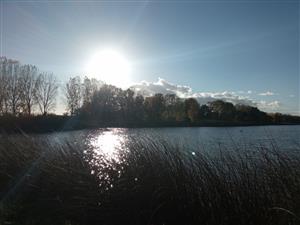 Pohľad na južný Číčovský rybník, TML, foto: 25.10.2022, J.Lengyel.