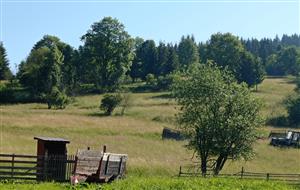 Celkový pohľad na lokalitu - dolná časť