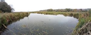 Pohľad na JV meander Žitavy, TML Žitavský luh. Biotop Lutra lutra, foto: 27.10.2022, J.Lengyel.