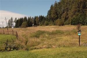 pohlad na lokalitu zo SV okraja smerom na JZ, v popredi zarastajuce plochy s odlozenymi kopami stareho sena