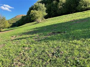 celkový pohľad na plochu