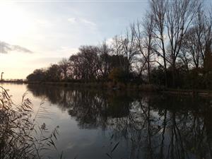 Pohľad na severnú časť TML Veľkoblahovské rybníky, foto: 2.11.2022, J.Lengyel