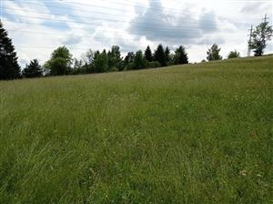 Celkový pohľad na lokalitu