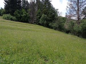 Celkový pohľad na lokalitu