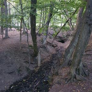 TML M3 070 - Častá, celkový pohľad na lokalitu. 