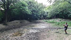 TML - Kráľová studnička, Borinka