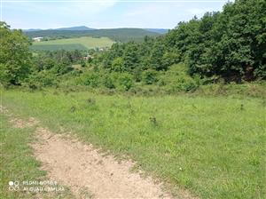 Pohľad na lokalitu.