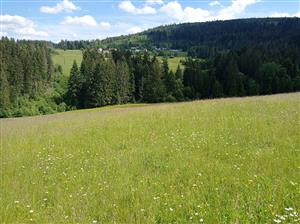 Celkový pohľad na lokalitu