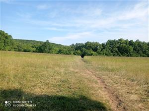 Pohľad na lokalitu.