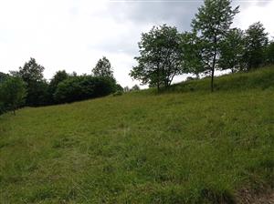 Celkový pohľad na lokalitu