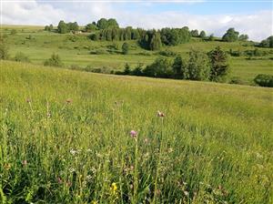 Celkový pohľad na lokalitu