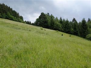 Celkový pohľad na lokalitu