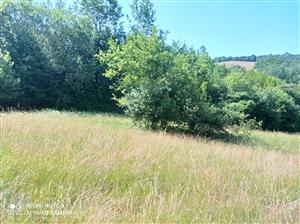 Pohľad na lokalitu.