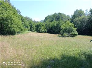 Pohľad na lokalitu.