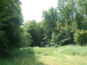 TMP3 (dolina Litavice)