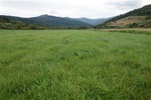 pohľad na TML JZ smerom, v pozadí mladiství rómovia