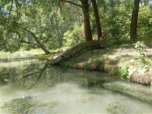 TML_Malý Dunaj - Rastice
